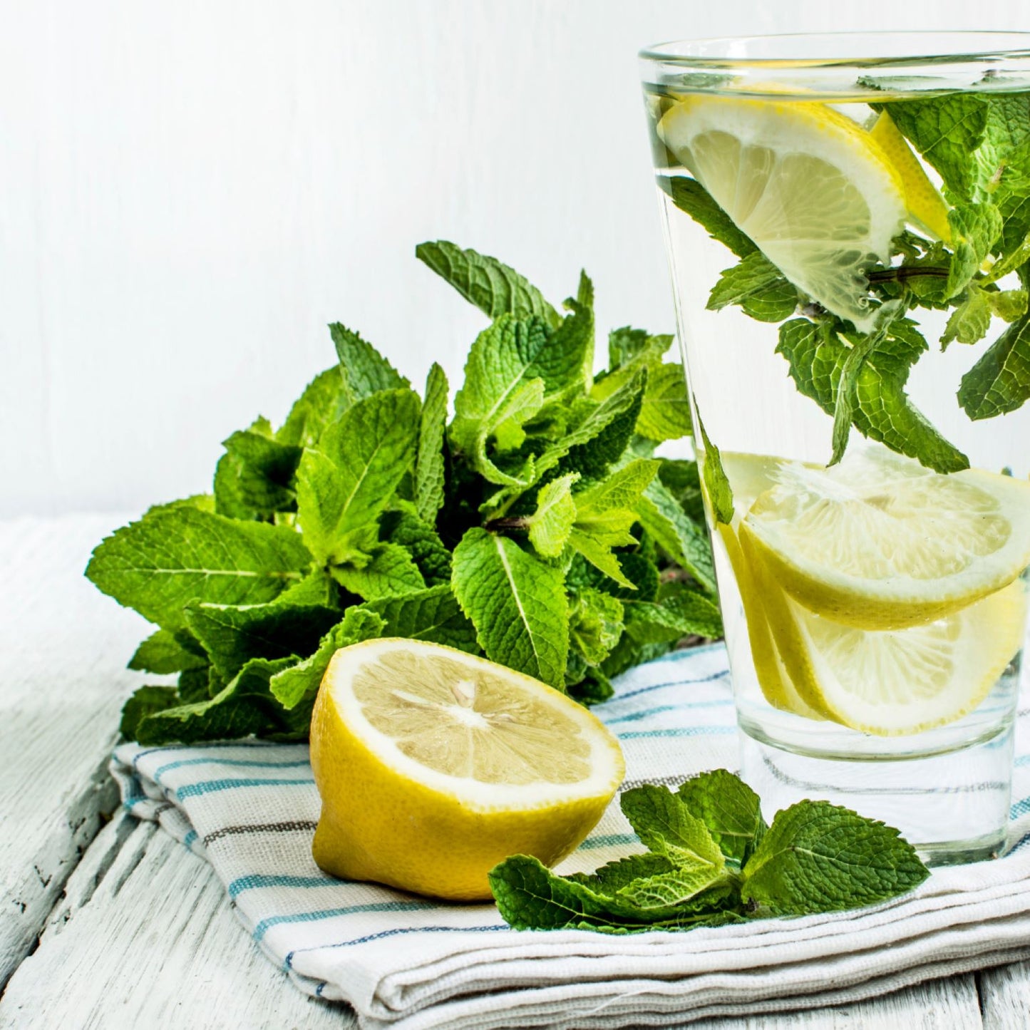 CONDITIONER BAR - Green Mint & Lemon (Normal & Oily Hair)