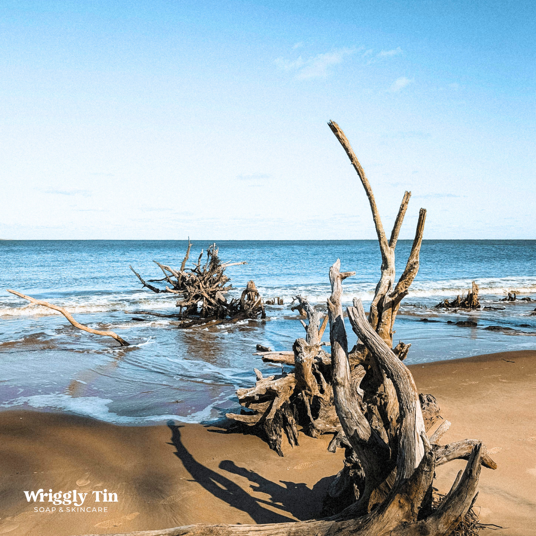COASTAL DRIFTWOOD - Coconut Milk Soap