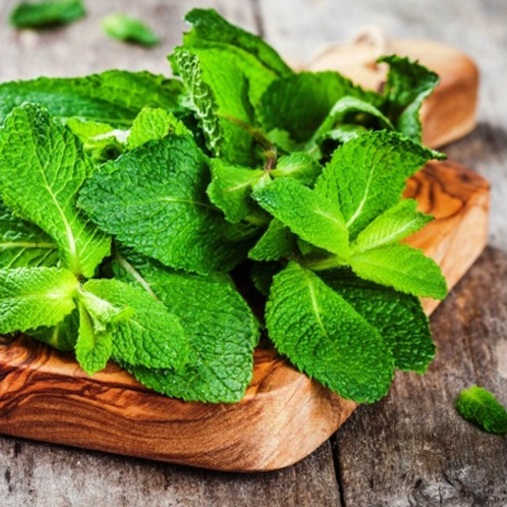 MUSCLE SOAK - with peppermint, eucalyptus & lemongrass