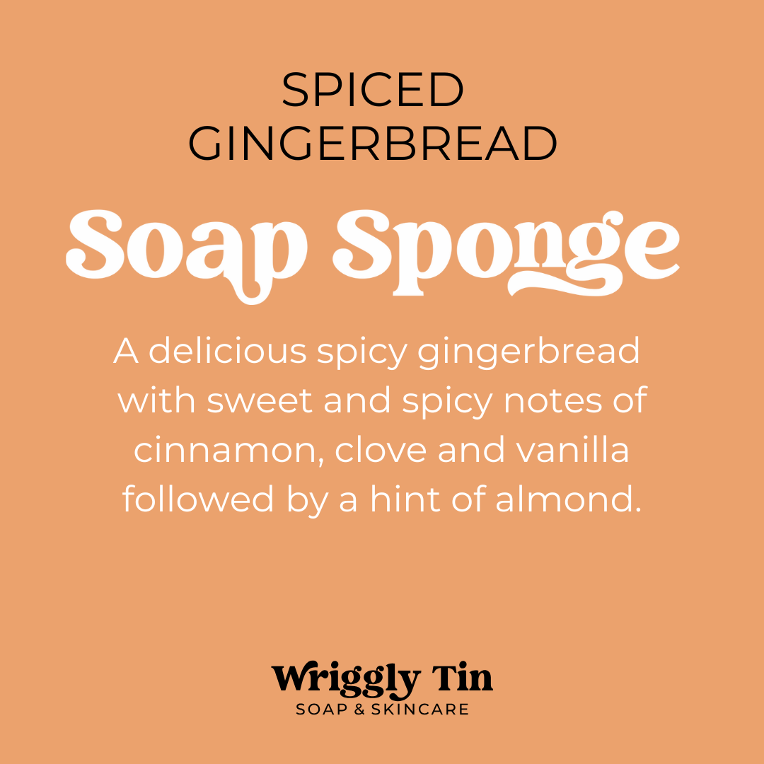 EXFOLIATING SOAP SPONGES (vegan)