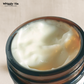 DAILY MOISTURE FACE CREAM - With Broccoli Seed + Vitamin E