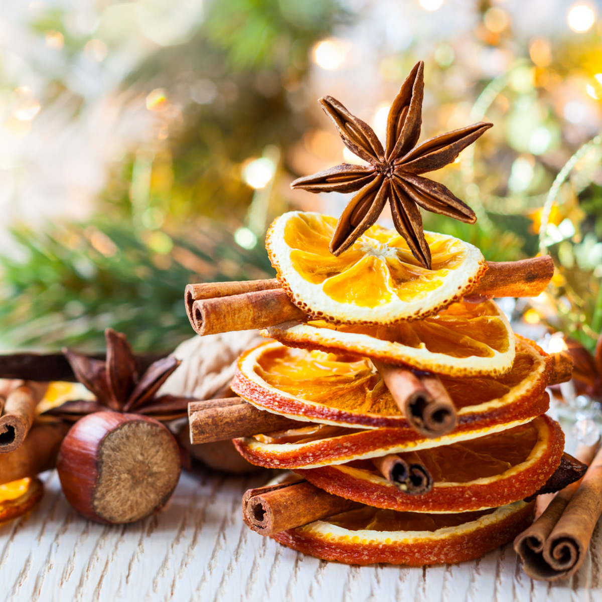 CHRISTMAS SPICE - Goat Milk Soap