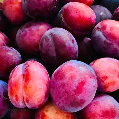 BLACK PLUM & RHUBARB - Goat Milk Soap
