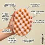 SOAP SPONGES - CHRISTMAS SCENTS (vegan)