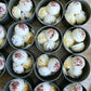 BOTANICAL BATH MELTS - (set of 4 in a tin) with shea & cocoa butter