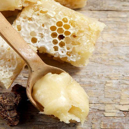 PEPPERMINT & LEMON - Beeswax Foot Balm