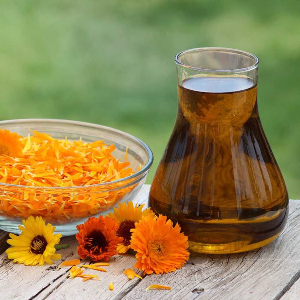CALENDULA & PUMPKINSEED - Beeswax Hand, Foot & Body Balm